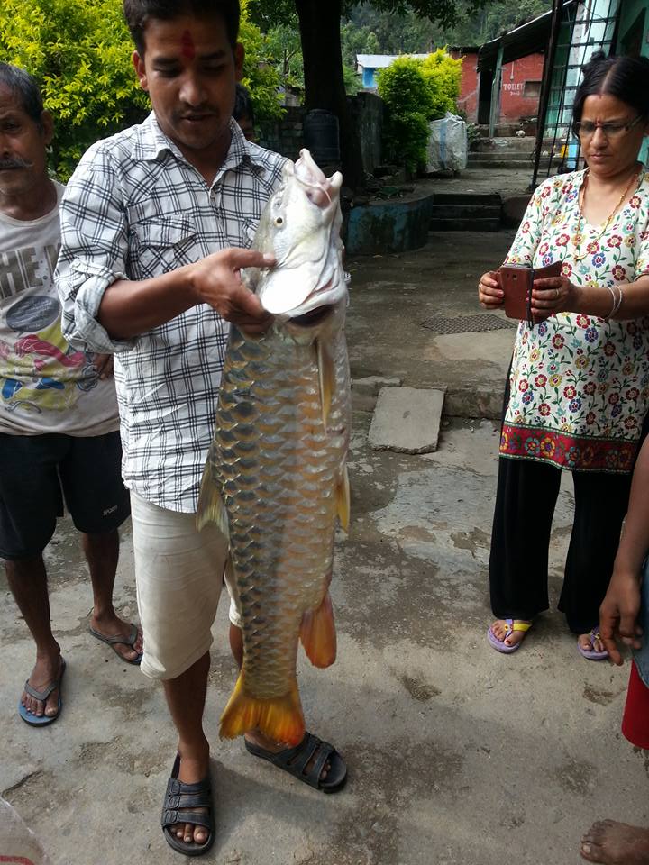 514281638_24252688610990592_5350510877866384255_n